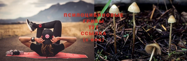 не бодяженный Бронницы