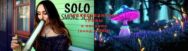 соль курить ск Бородино