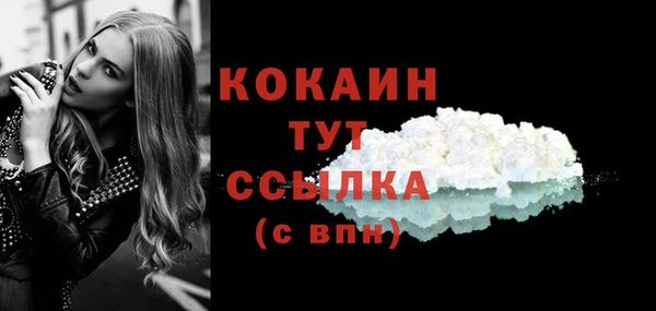 соль курить ск Бородино