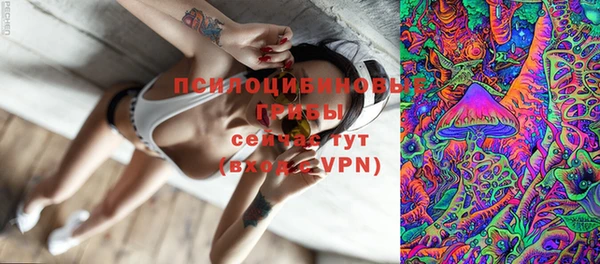 дурь Верхний Тагил