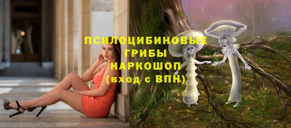 соль курить ск Бородино