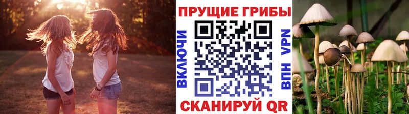 OMG онион  как найти наркотики  Джанкой  Псилоцибиновые грибы MAGIC MUSHROOMS 